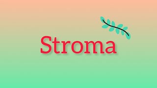 What is Stroma [upl. by Ettelliw]