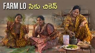 మన ల్యాండ్ లో సీకుల చికెన్😋 chicken youtube farmland subscribemychannel [upl. by Jarrid]