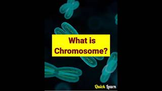 What is a Chromosome  Quick Learn shorts biology chromosome [upl. by Fredric873]