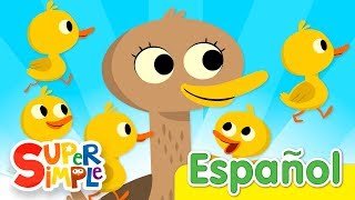 Cinco Patitos  Canciones Infantiles  Super Simple Español [upl. by Estrin600]