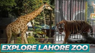 Explore Lahore Zoo  Detailed Lahore Zoo Vlog  Khatana Family [upl. by Adiarf]