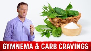 Gymnema Herb The Best Herb for Sugar amp Carb Cravings – DrBerg [upl. by Endor]