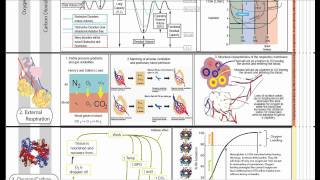 Respiratory Physiology Part 2 [upl. by Puto801]