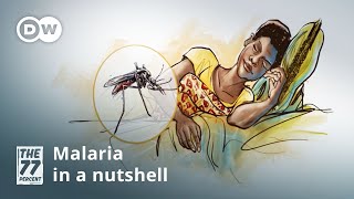 Malaria — Symptoms and treatment [upl. by Llehsar]