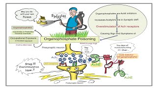 Organophosphate Poisoning Explained  EMT [upl. by Aivatnuahs]