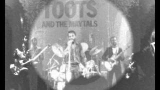 GET UP STAND UP  TOOTS AND THE MAYTALS  TORHOUT WERCHTER 1981 PART 3 [upl. by Iliam593]