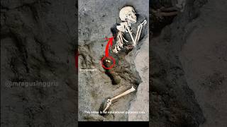 Penemuan Arkeologi Luar Biasa Di Pompeii Italia sejarah faktaunik misteri [upl. by Eudo844]