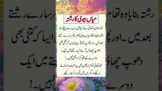 میاں بیوی کا رشتہ flute music cover ringtone recorder quotes ncsringtone musiclove poetry [upl. by Peg169]