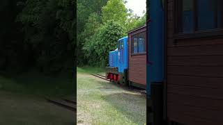 Wąskotorowa kolejka leśna  Puszcza Białowieska forest train białowieża [upl. by Pliam922]