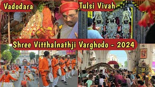 Vitthalnathji No Varghodo 2024  Dev Uthani Ekadashi  Tulsi Vivah  Vitthal Mandir Mandvi Vadodara [upl. by Estus44]