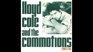 Lloyd Cole And The Commotions – Forest Fire 1984 [upl. by Cirde]