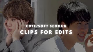 softcute seokjin clips for edits [upl. by Ronaele]