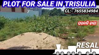 RESALE PLOT IN TRISULIA  Residential plot in Cuttack  Ghrabadi plot  Trisulia Land  Project [upl. by Rhines]