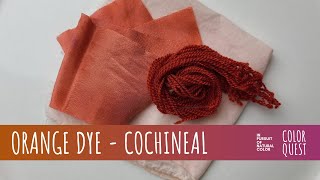 HOW TO MAKE ORANGE DYE WITH COCHINEAL  ORGANIC COLOR  WOOL SILK COTTON  RAINBOW PALETTE  ACIDIC [upl. by Lennie]