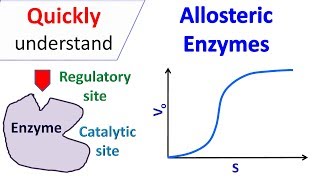 Allosteric enzymes [upl. by Adnahsar]