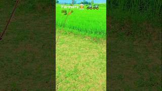 Farmers👳 🚜🚜 shorts [upl. by Acenom]