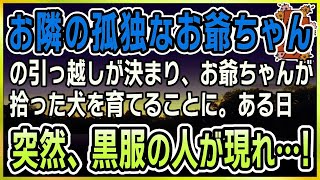 【感動する話】お隣の孤独な老人の引っ越しが決まり、お爺ちゃんが拾った犬を育てることに。ある日、突然黒服の弁護士が現れて「遺産の件でお話が…」僕＆母「え！？まさか、あのお爺ちゃん！？ [upl. by Assehc]