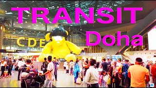 【Airport Tour】How to Transit at Qatar Doha Hamad International Airport [upl. by Htidra660]