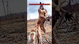 kankalliek skibiditoilet pubgfunny video subscribelieke [upl. by Moreland]