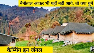 Sigri Jungle Camp  Pangot  Best place in Nainital for jungle camping [upl. by Okimat]