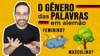 Guia descomplicado dos gêneros das palavras em alemão [upl. by Morrill343]