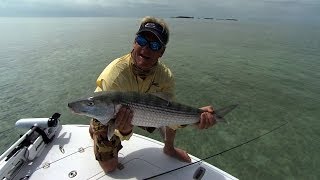 Screaming Bonefish Fishing the Flats In Downtown Islamorada Florida [upl. by Zingale]