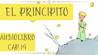 EL PRINCIPITO Cap 19 AUDIOLIBRO [upl. by Voorhis]