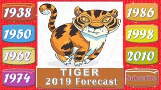 Tiger Horoscope 2019  Born 1938 1950 1962 1974 1986 1998 2010 [upl. by Child882]