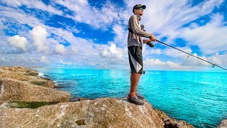 two most dangerous animals on the beach while fishing [upl. by Adyeren683]