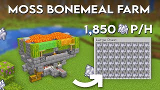 Minecraft Bone Meal Farm Tutorial  1850 Bone Meal Per Hour [upl. by Nessie]