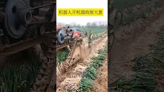 Diesel engine kubota how to put belt RK 801S sitisfying agriculture shorts cropmanagement [upl. by Aynom466]