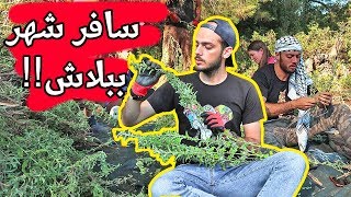 سافر كمتطوع ببلاش دليل شامل  تجربتي مع موقع Workawayinfo والسياحة التطوعية [upl. by Aerda473]