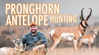 Pronghorn Antelope Hunting made EASY [upl. by Adnalohs368]