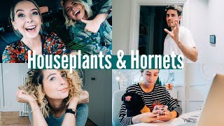 HOUSEPLANTS AND HORNETS  WEEKLY VLOG [upl. by Vaclava179]