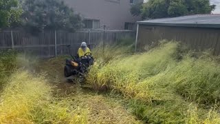 Abandoned house overgrown grass they called us to mow Our cub cadet 60” tackled 3metre tall growth [upl. by Aloek]