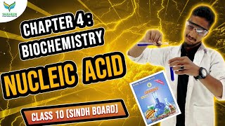 X Chemistry Chapter 4Nucleic Acid shaheencoachingcenter sindhboard karachiboard chemistry [upl. by Hunfredo]