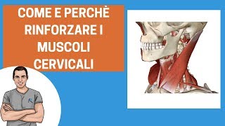 Esercizi per cervicale come rinforzare i muscoli del collo [upl. by Ahsinyar]