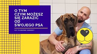 Czym możesz zarazić się od swojego psa pupilove [upl. by Yorker]