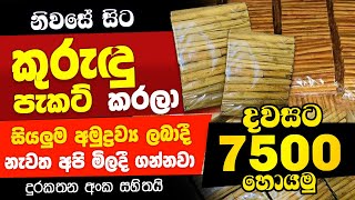 Swayan Rakiya Sinhala 2024 Swayan Rakiya at Home Job vacancy Sinhala 2024 [upl. by Rotman817]