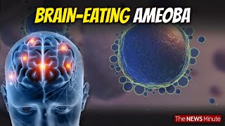 Explained What is BrainEating Amoeba that causes Amoebic Meningoencephalitis Health [upl. by Asel]