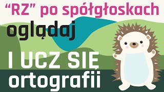 ORTOGRAFIA NA WESOŁO  Pisownia quotRZquot po spółgłoskach p b d k g t j w ch  NAUKA PRZEZ ZABAWĘ [upl. by Lotus]