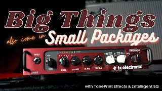 Unboxing  TC Electronic BH800 Bass Amplifier Head 800W [upl. by Hsina]