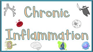 Chronic Inflammation  Causes Morphologic features Mediators Examples amp Clinical manifestations [upl. by Anitnerolf]