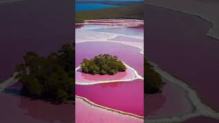 Lake Hillier located on Middle Island in Australia mesmerizes with its vivid bubblegumpink waters [upl. by Keldah]