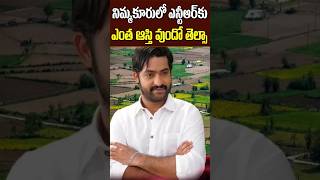 Jr NTR Lands and Net Value in Nimmakuru Village  Jr NTR Grand Fathers Home Town Tollywood Nagaram [upl. by Nailij]