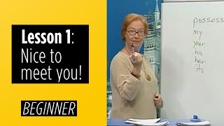 Beginner Levels  Lesson 1 Nice To Meet You [upl. by Merceer]