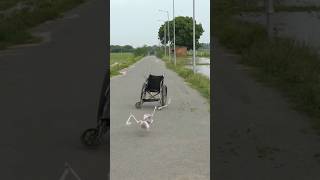 Rocket wheelchair 🥶🤣😭😁BLUEBOXSHORTS bluebox experiment automobile [upl. by Remat]