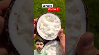 The pleasure of eating sprouted coconut shortsvideo fruit [upl. by Romeo]