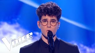 Daniel Balavoine  SOS Dun Terrien En Détresse  Gjons Tears  The Voice 2019  Live Audition [upl. by Lauren]