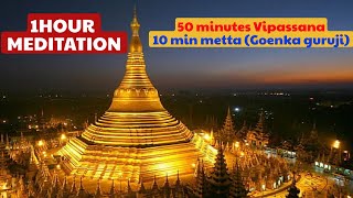 silent meditation  1 hour meditation  50 min vipassana and10 minutes metta bhavna of goenka guruji [upl. by Korb258]